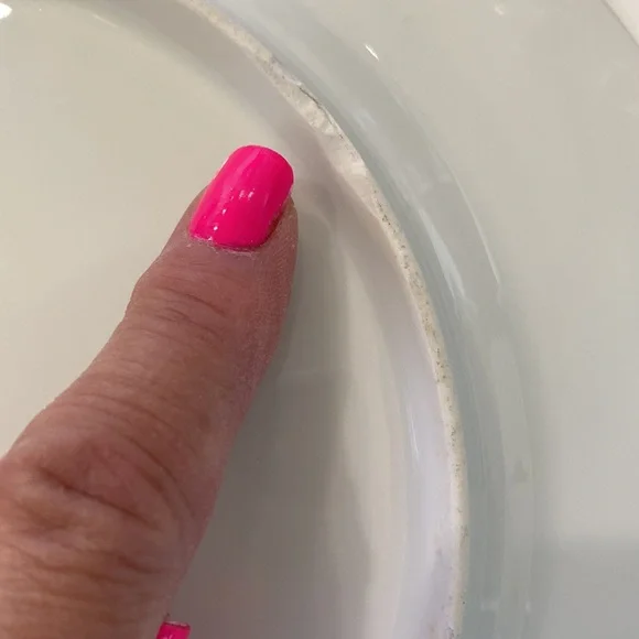 Vintage Limoges Bassett Austria Sweet Roses Plate! - Picture 4 of 5